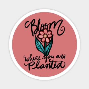 Bloom where you are planted Magnet